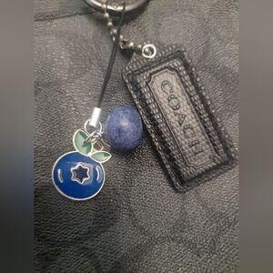 Blueberry Bag Charm Keychain Set